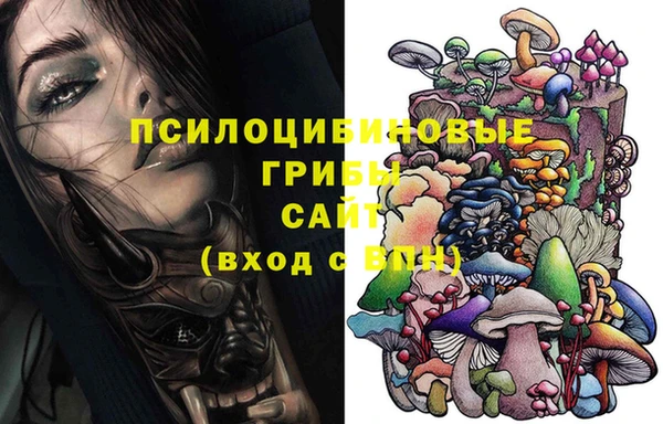 a pvp Абаза