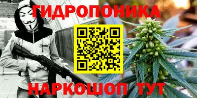 спайс Кинель