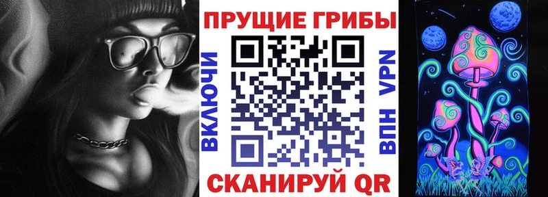где можно купить   Рославль  Псилоцибиновые грибы Magic Shrooms 