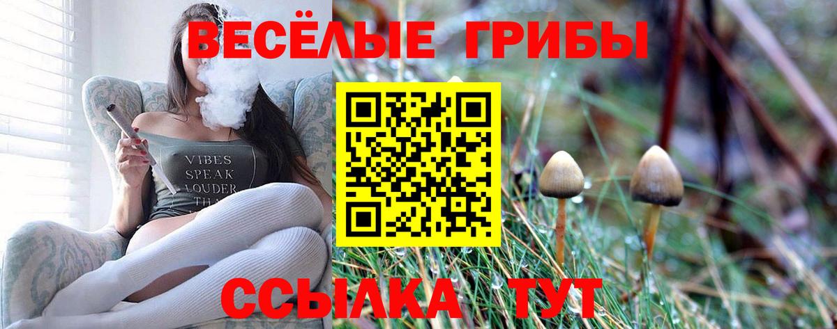 Псилоцибиновые грибы мухоморы  Вход с VPN  Галлюциногенные грибы GOLDEN TEACHER  Рославль 
