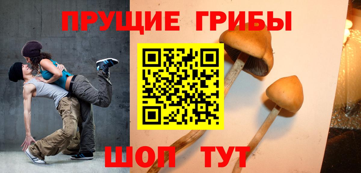 Галлюциногенные грибы мухоморы Рославль