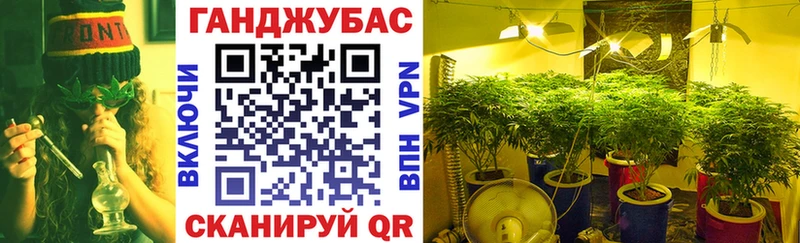 Каннабис Amnesia  Рославль 